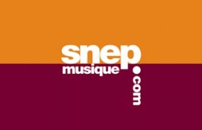 Mercato della musica, diffusi i dati SNEP sulla Francia
